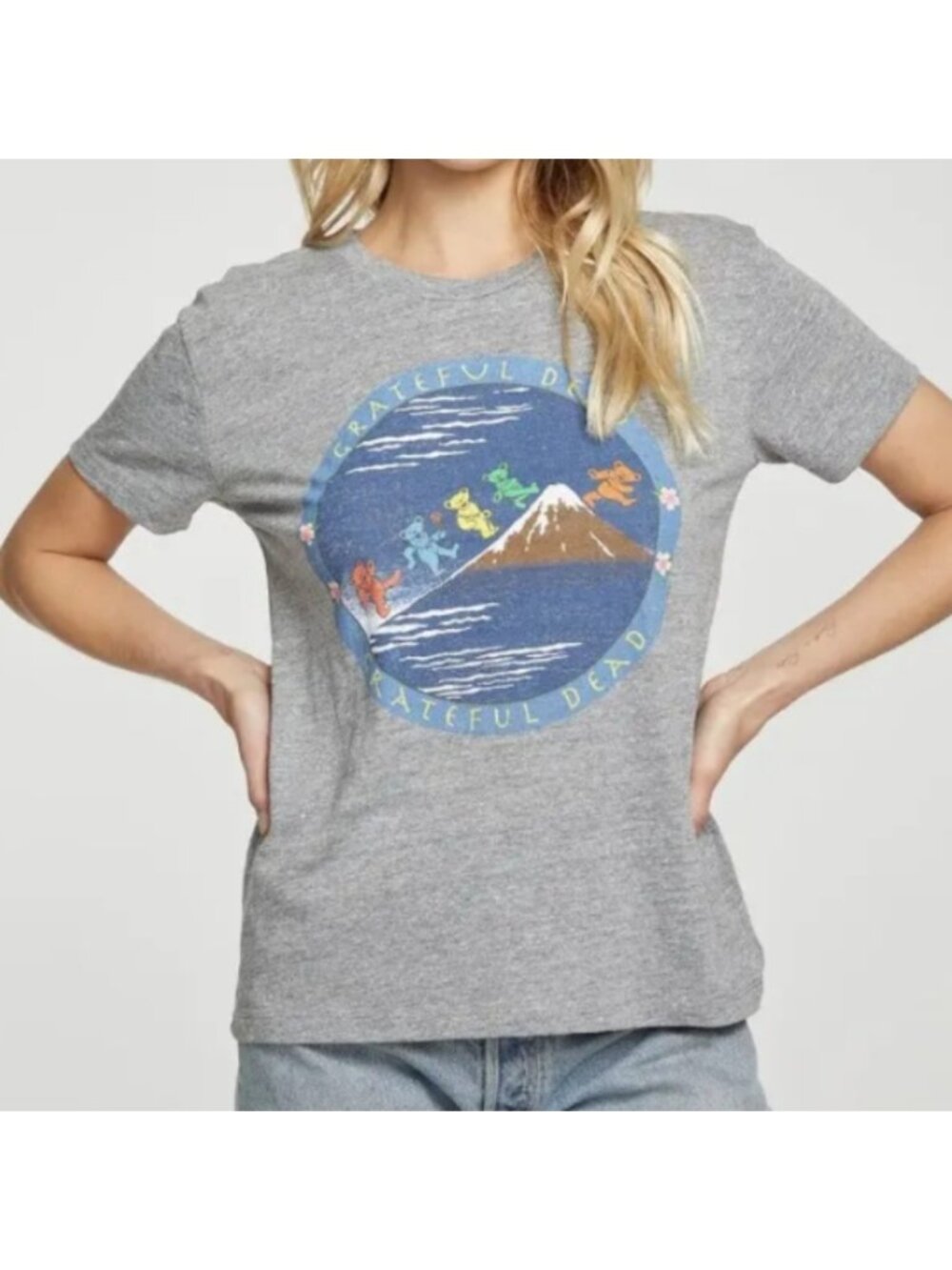 Chaser Grateful Dead Dancing Bears Streaky Grey Tee Size Large